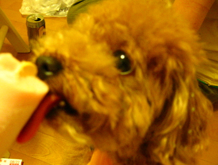 c0110906_22271588.jpg