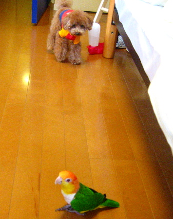 c0110906_22285154.jpg
