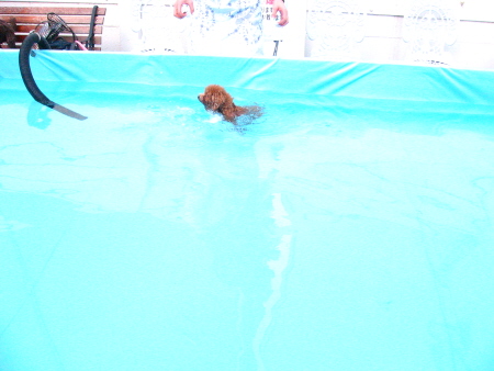 c0110906_2352114.jpg