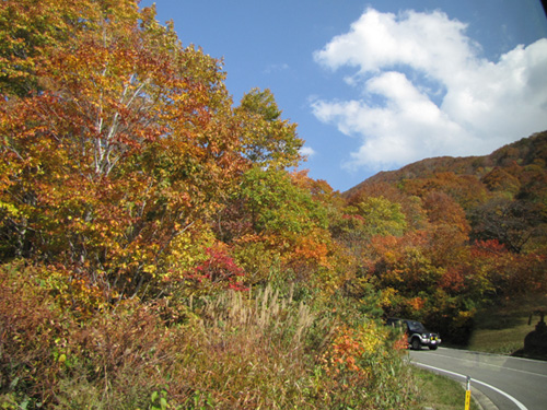 b0014607_21443999.jpg