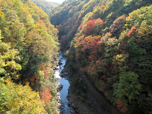 b0014607_21445495.jpg