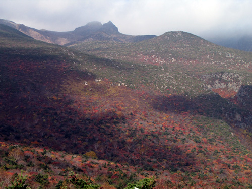 b0014607_21452767.jpg