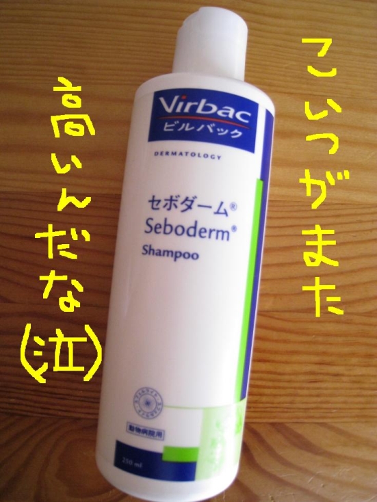c0113109_23182748.jpg
