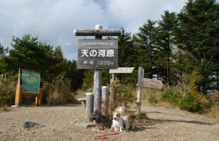 e0078510_22493429.jpg