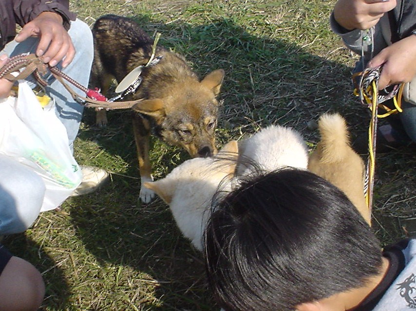 c0150520_21485877.jpg