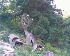 b0073322_0103777.jpg