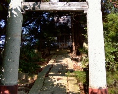 b0073322_084625.jpg