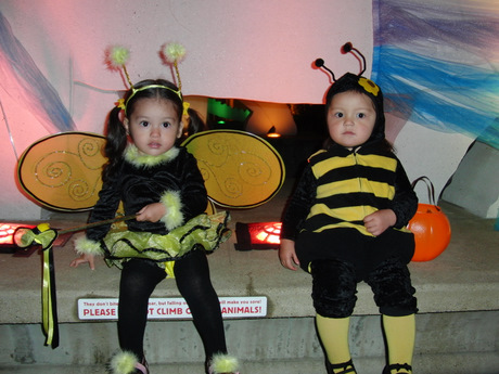 c0151122_5221665.jpg