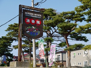 b0171523_1631166.jpg