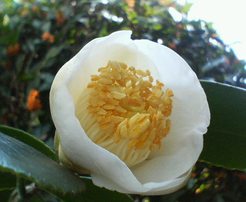 f0036223_14443755.jpg