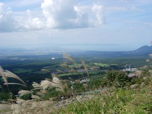 f0083426_23501760.jpg