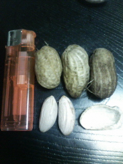 c0034029_21273343.jpg