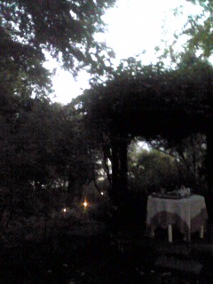 b0072234_14373597.jpg