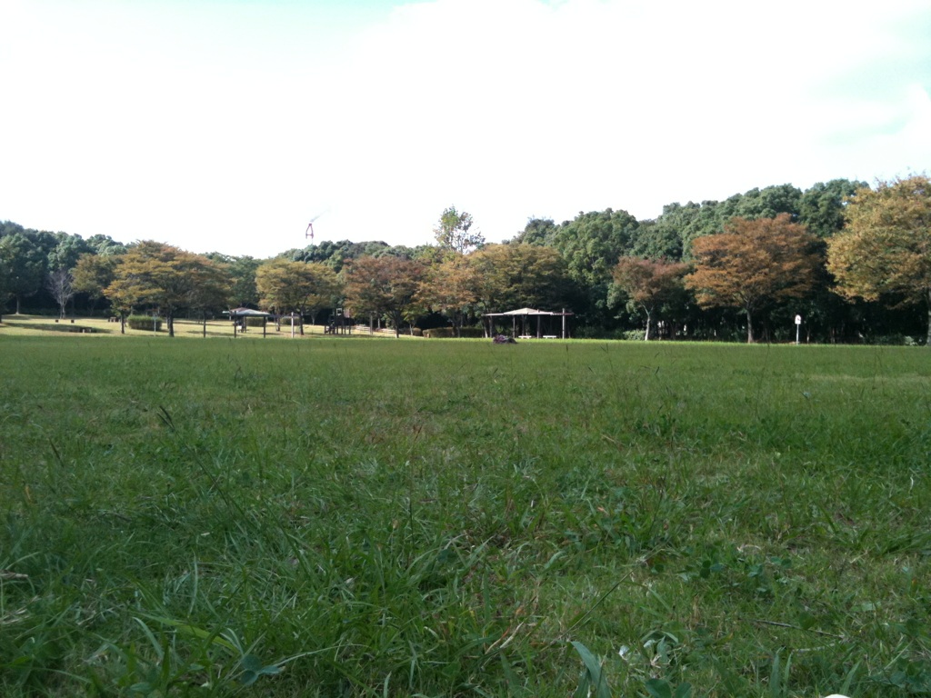 c0152037_13463957.jpg