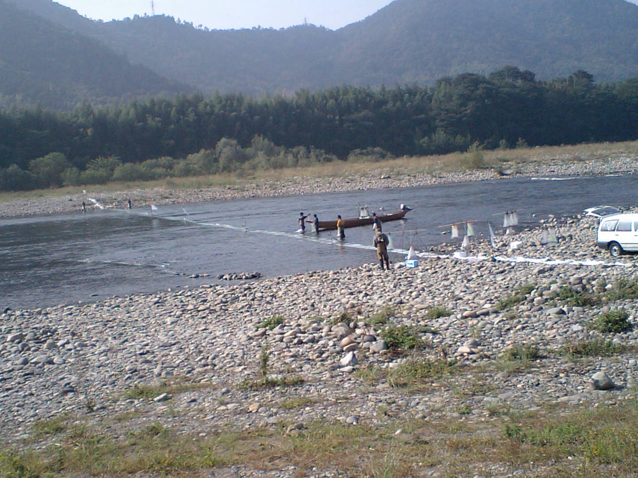 a0083638_20544631.jpg