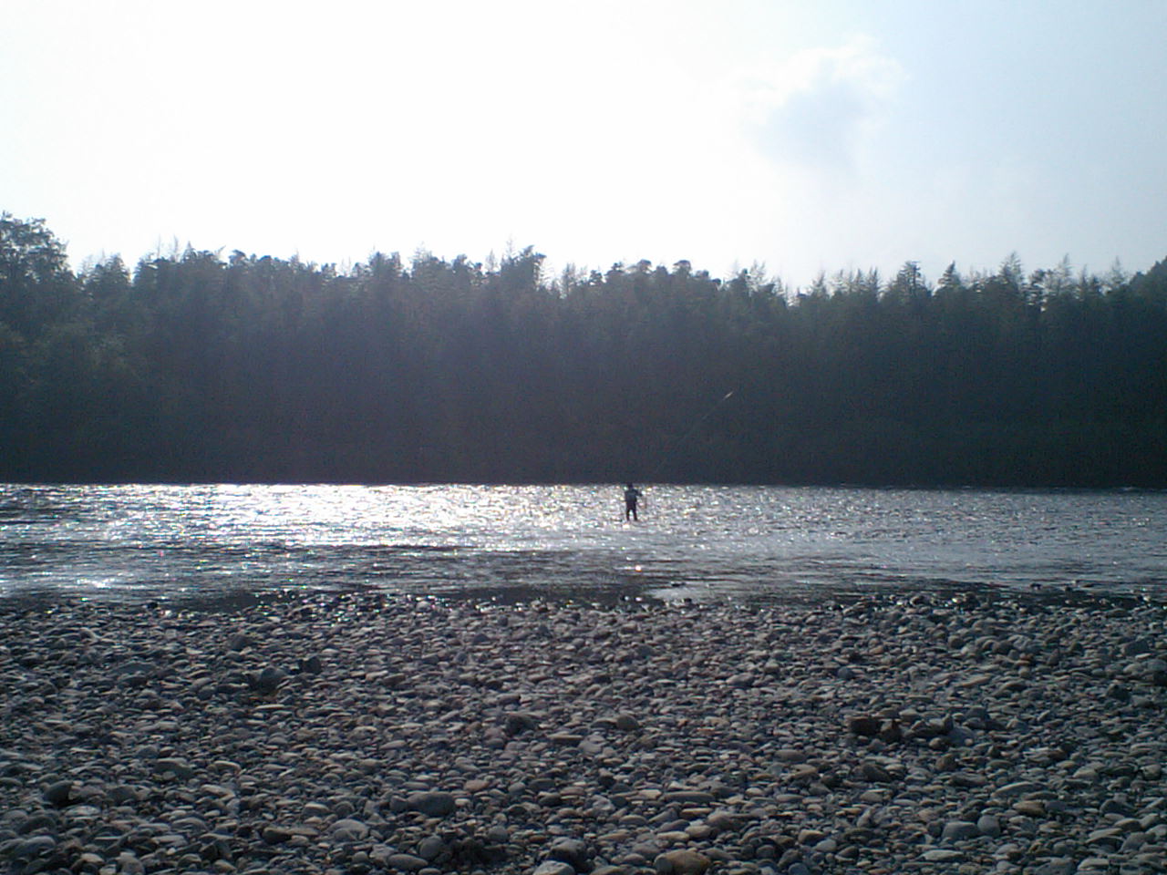 a0083638_20552073.jpg