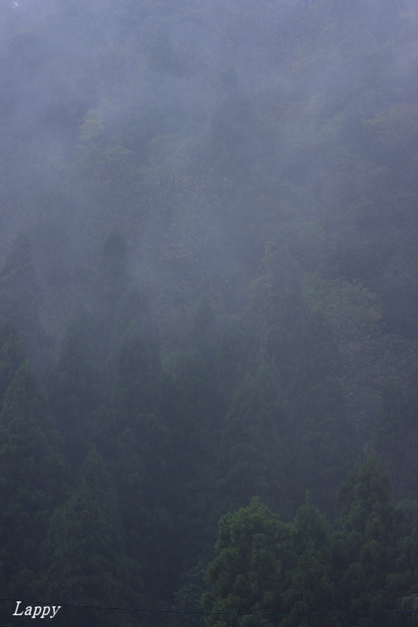 d0135242_13292641.jpg