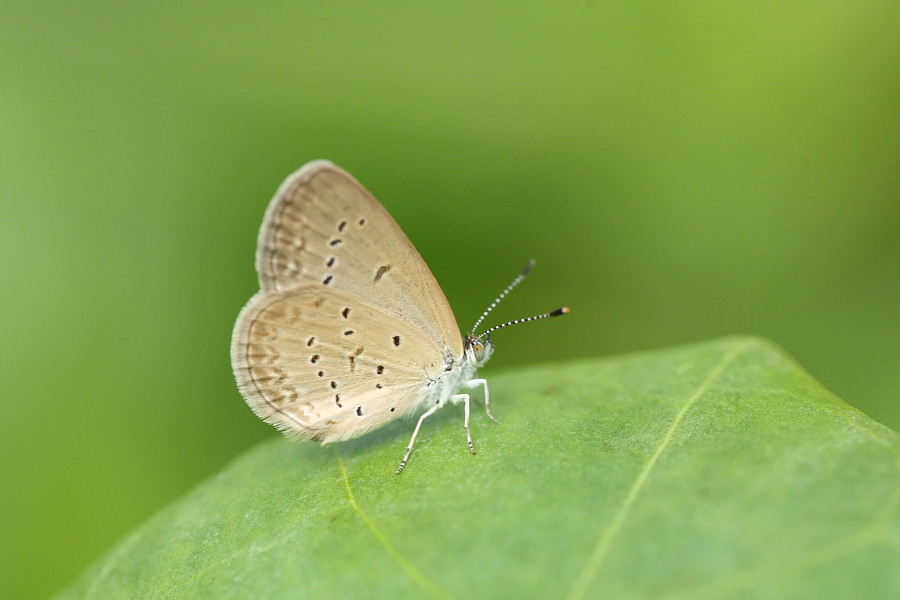 a0094850_228173.jpg