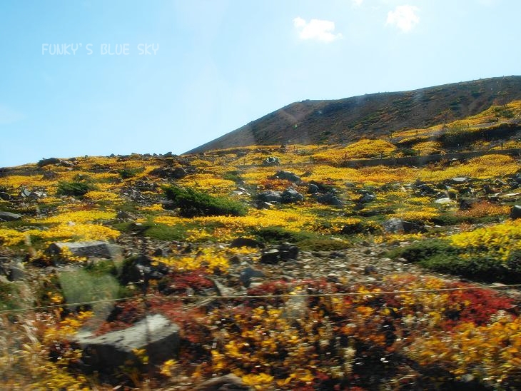 c0145250_6202726.jpg