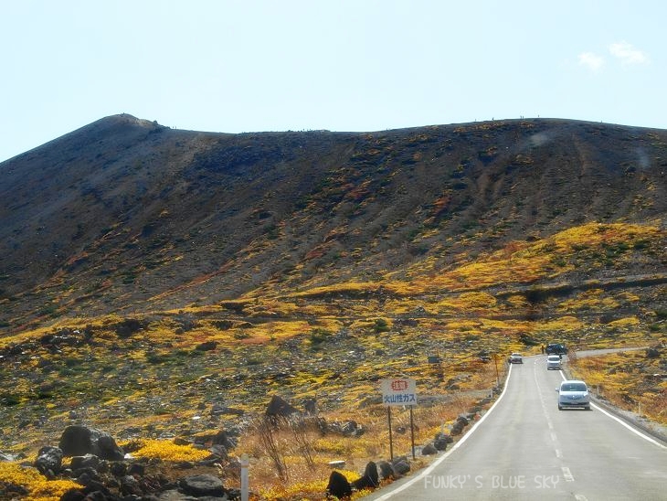 c0145250_620868.jpg
