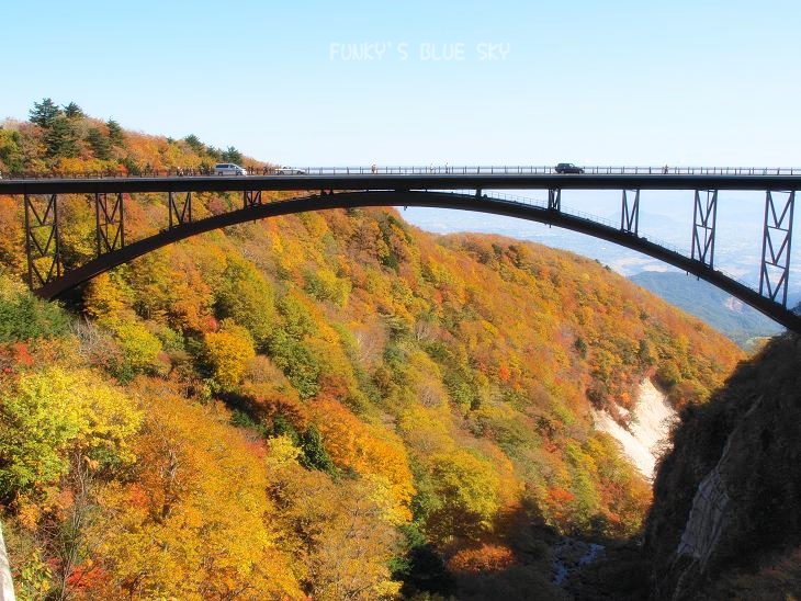 c0145250_684041.jpg
