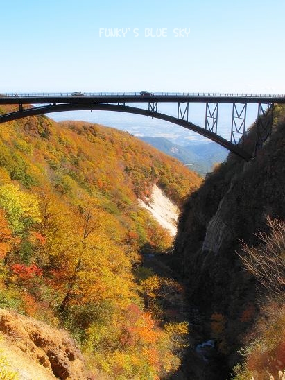 c0145250_693149.jpg