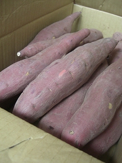 f0009451_11323656.jpg