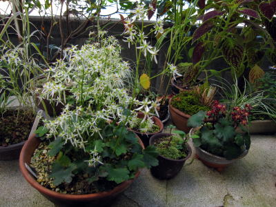 c0147952_22365369.jpg