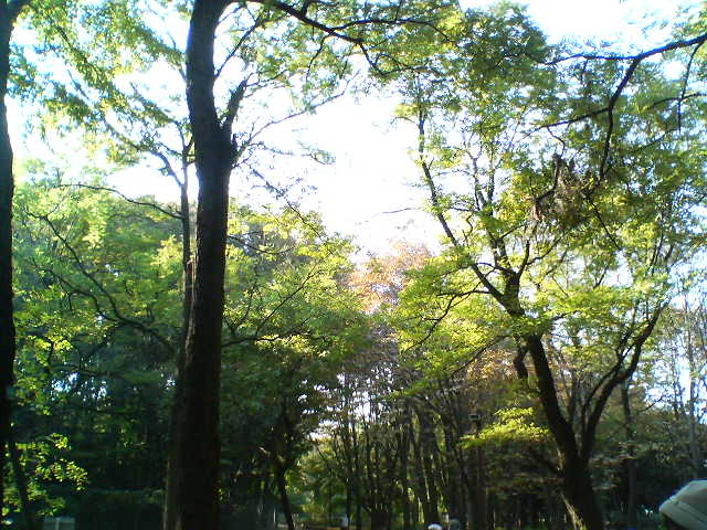 d0124952_20365180.jpg