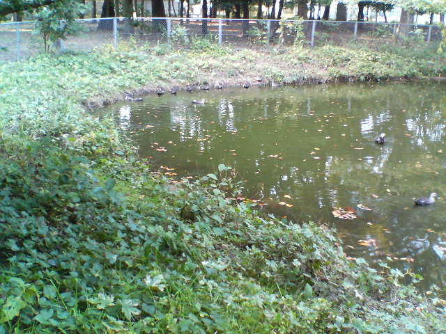 d0124952_2037196.jpg