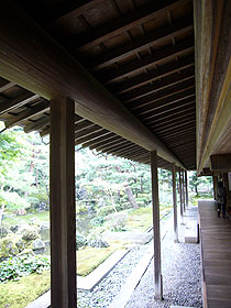 d0054855_919447.jpg