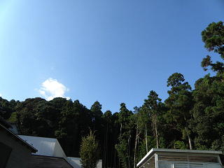 e0184558_9261030.jpg