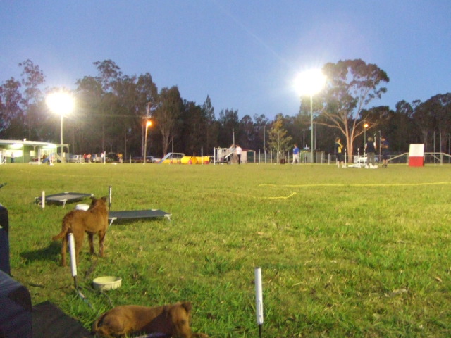 e0171460_21471779.jpg