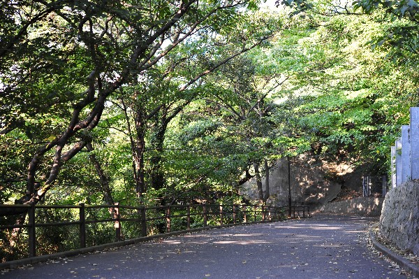 e0020166_12523026.jpg