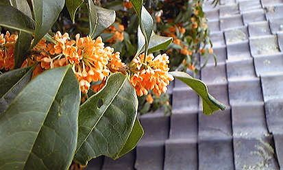 c0171468_23234100.jpg