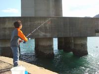 f0134669_2144783.jpg