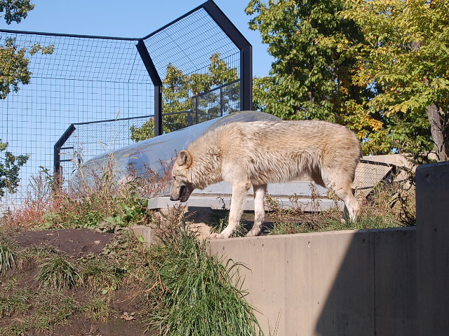 a0038370_1111259.jpg