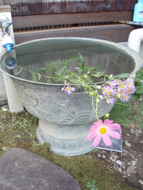 e0114371_1004752.jpg