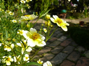 c0216472_2019034.jpg