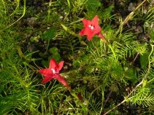 c0216472_20204536.jpg