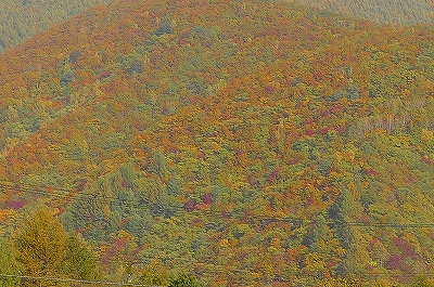 f0182173_10354749.jpg
