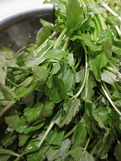 f0056476_938261.jpg