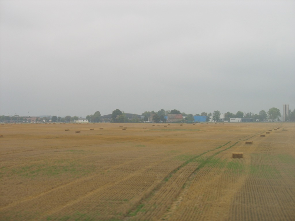 a0118179_153137.jpg