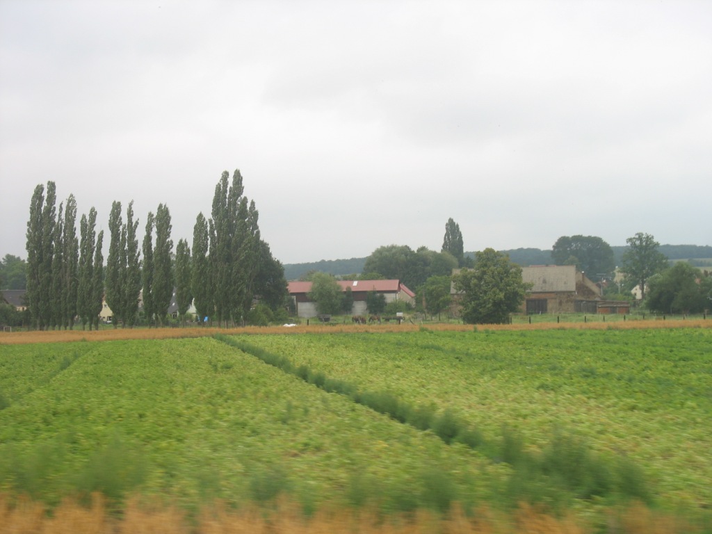 a0118179_1533196.jpg