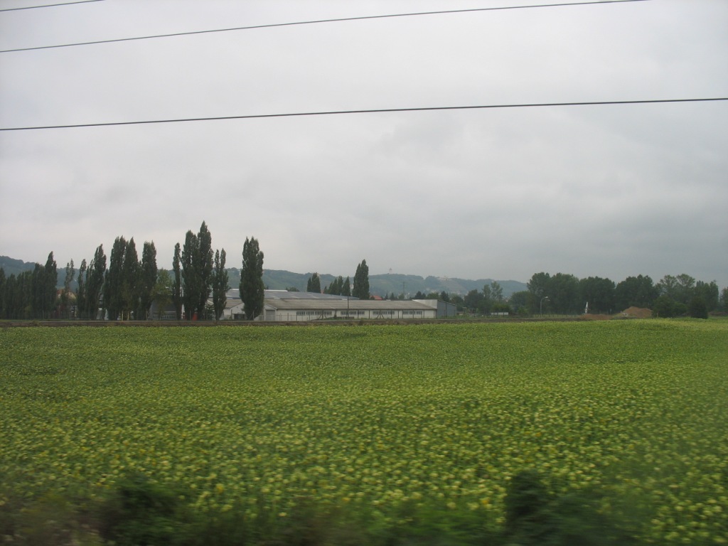 a0118179_1541100.jpg