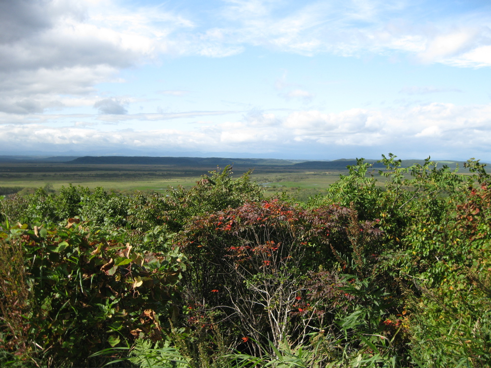 b0174079_1956643.jpg