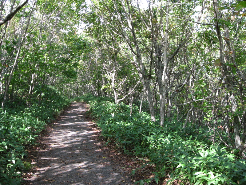 b0174079_19583692.jpg