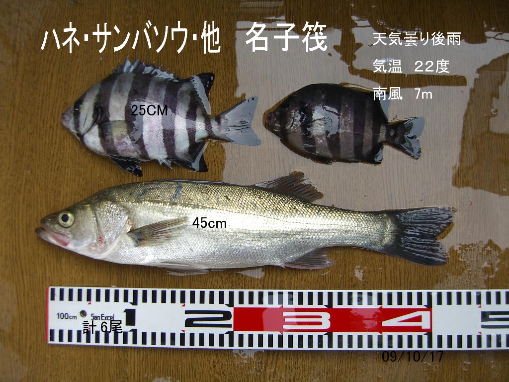 e0023183_2383041.jpg