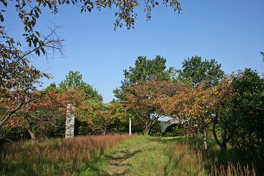 e0190885_18495436.jpg