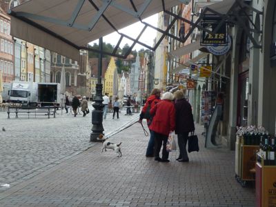 a0105289_143527.jpg